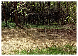 Septic Tank Under Ground Septic Tank Under Ground